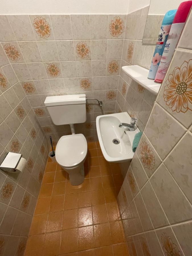 Ferienwohnung Maxi Maishofen Eksteriør billede